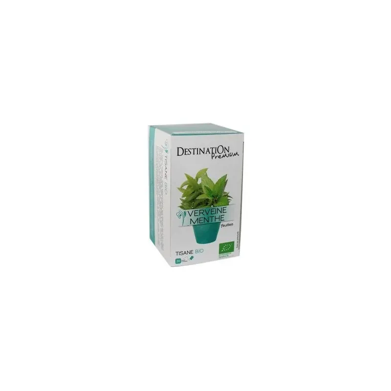 Destination INFUSION MENTHE POIVREE (20X1,6g)