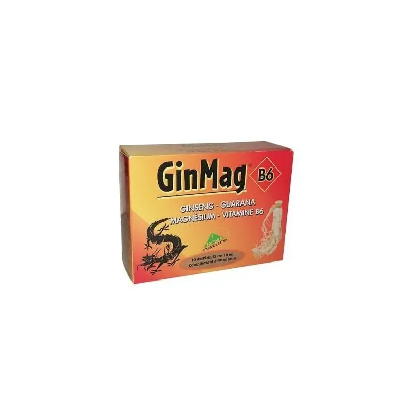 GINMAG B6 10 AMPOULES