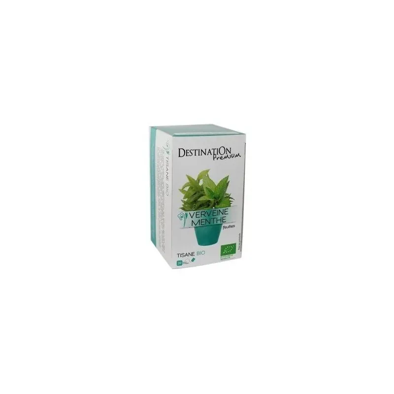 INFUSION MENTHE POIVREE BIO (20X1,5g)